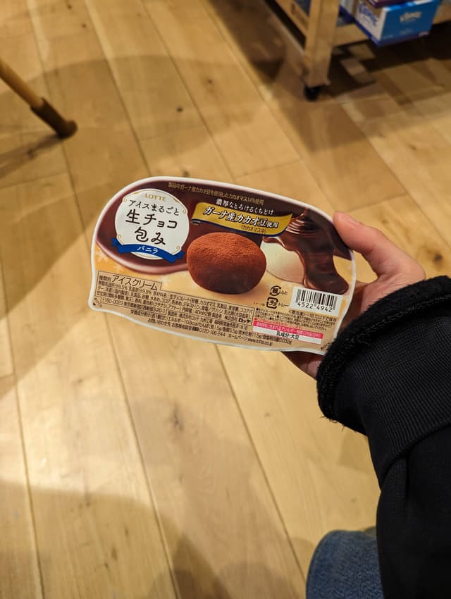 Chocolate Coated Ice cream Ball